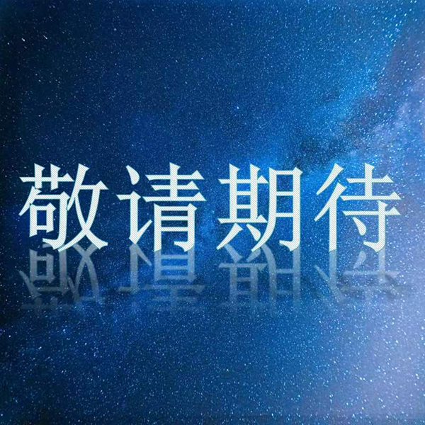 敬请期待